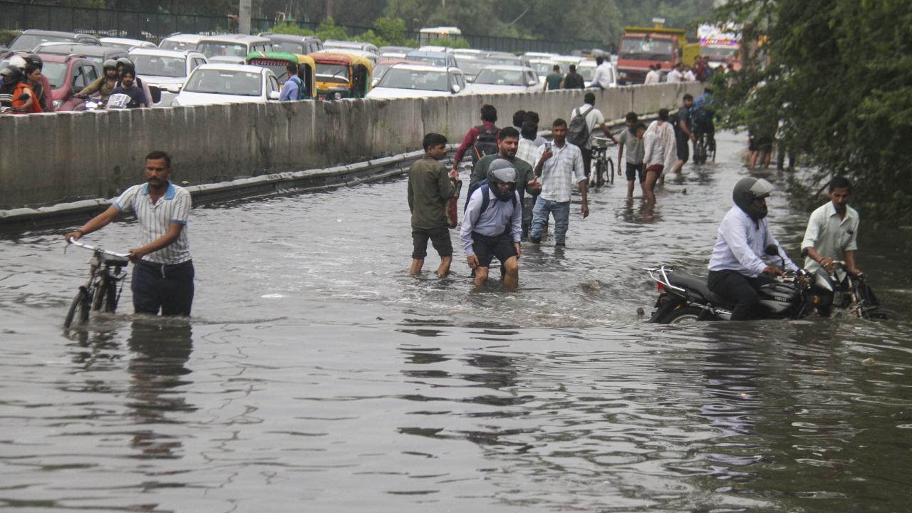Trees were uprooted in many parts of Delhi that also saw a dust storm early morning